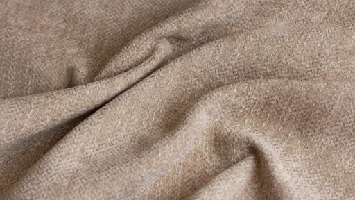 Beauty Beige