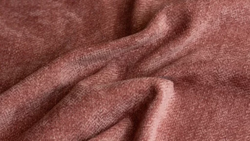 Beauty Blush