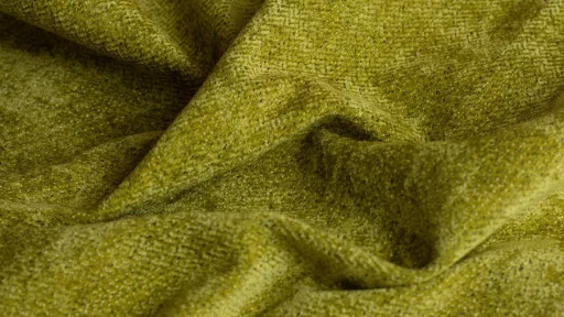 Beauty Lime