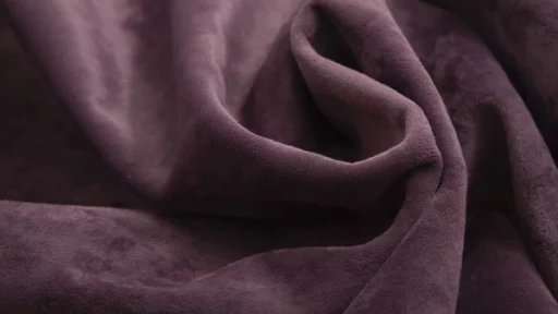 Model Plum