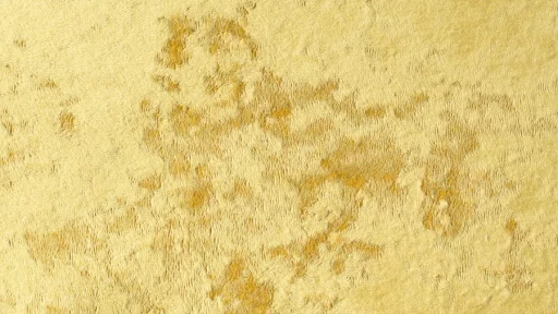Monaco 7