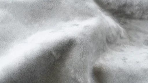 Plush Silver