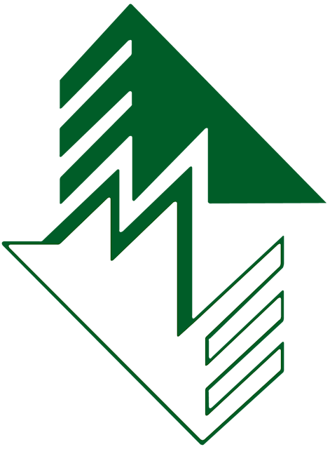 Logo 5шагов