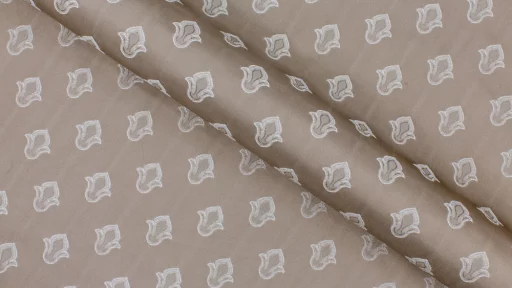 Bellissimo Com Bianco