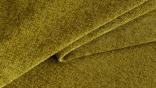 14 Mustard 14 Mustard