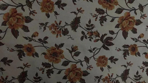 Эмили Эмили