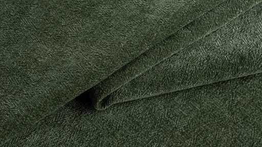 12 Forest